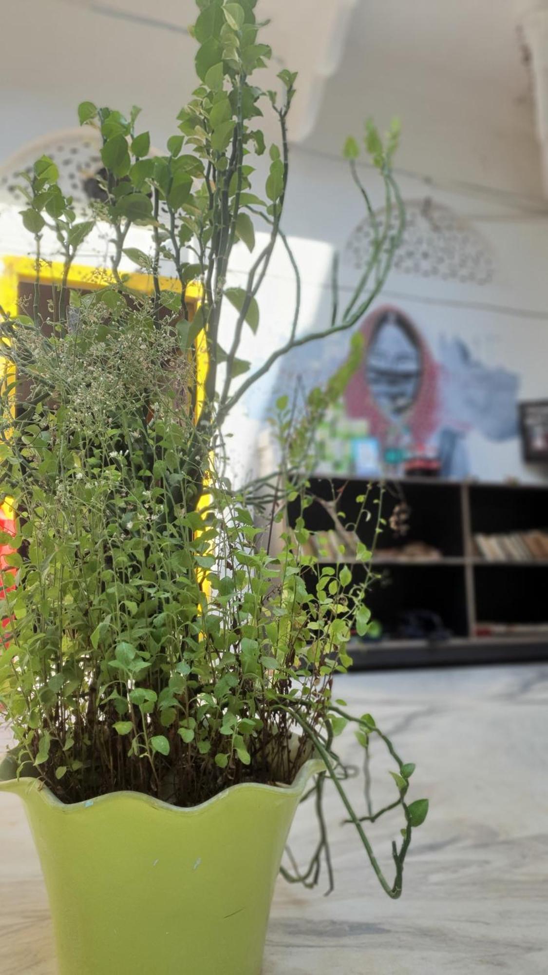 Anand Hostel Pushkar Zewnętrze zdjęcie