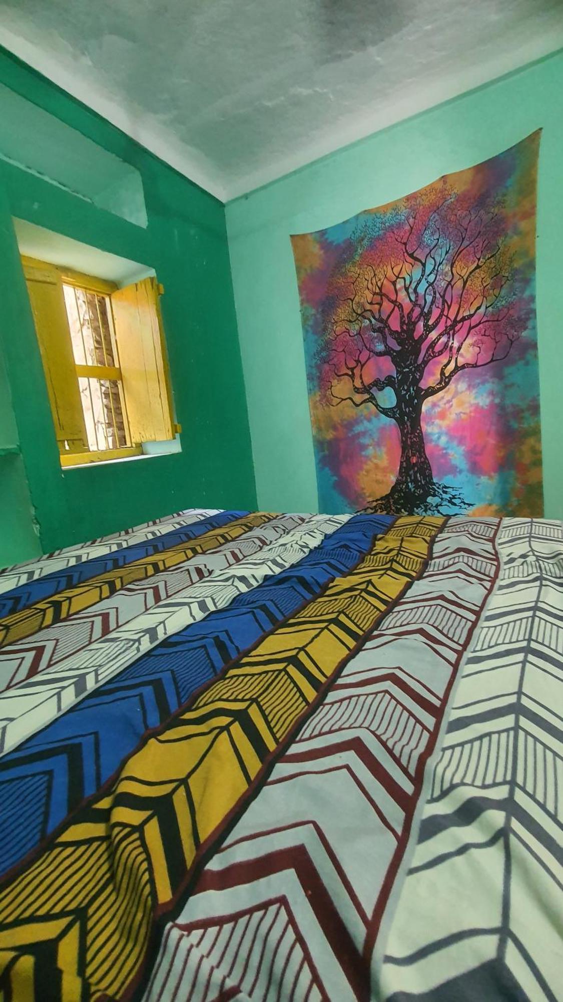 Anand Hostel Pushkar Zewnętrze zdjęcie